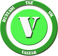 logo: Vaszar, Vaszar SE
