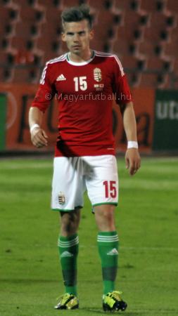 portré: Stieber Zoltán