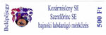 Kozármisleny SE - Szentlőrinc SE, 2006.00.00