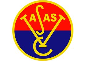 vasas96