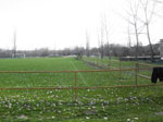 photo: Szegvár, Szegvári Sportpálya (2008)