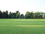 fénykép: Harta, Dunapart-sportpálya (2009)