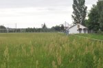 fénykép: Tiszabezdéd, Tiszabezdédi Sportpálya (2010)