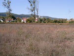 photo: Miskolc, DVTK Stadion, Salakos Edzőpálya 2 (2009)