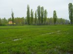 Cegléd, Ceglédi Városi Stadion, Füves Edzőpálya