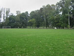 photo: Körösladány, Körösladányi Sportpálya (2008)