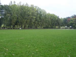 photo: Körösladány, Körösladányi Sportpálya (2008)