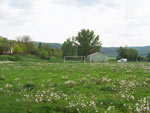 photo: Kurd, Kurdi Sportpálya (2009)