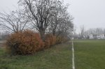 photo: Budapest, IV. ker., Duna-Cipő Pálya (2012)