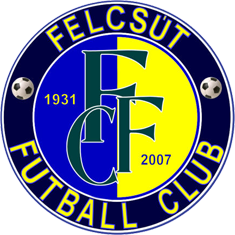 logo: Felcsút, Puskás Akadémia FC II.