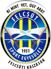 logo: Felcsút, Puskás Akadémia FC II.
