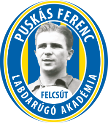 logo: Felcsút, Puskás Akadémia FC II.