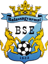 logo: Balassagyarmati VSE
