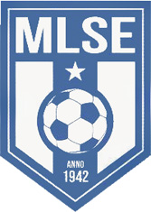 logo: Martfű, Martfűi LSE
