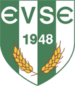 logo: Enyingi VSE
