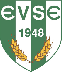 logo: Enying, Enyingi VSE