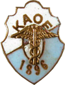 logo: KAOE