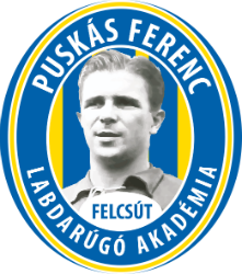 logo: Felcsút, Puskás Akadémia FC