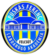 logo: Felcsút, Puskás Akadémia FC