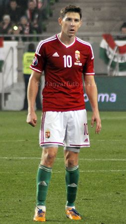 Gera Zoltán 2014