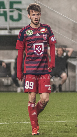 Suljić Asmir 2015