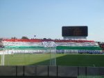 Videoton FC - Ferencvárosi TC 2010