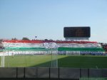 Videoton FC - Ferencvárosi TC, 2010.08.21