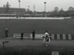 MTK Budapest - Videoton FC, 2015.03.14