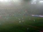 Ferencvárosi TC - Puskás Akadémia FC 2019