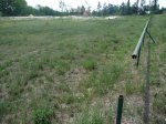 Balatonfűzfő edzőpálya