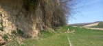 Kisdorog, Fő utcai Sportpálya 2025.04.09