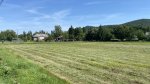 2025 Nyár vágás után