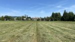 2025 Nyár vágás után
