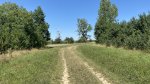 2025 Kispálya a volt nagypálya helyén