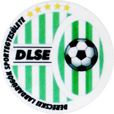 logo: Derecske, Derecskei LSE