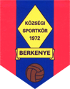 logo: Berkenye SE