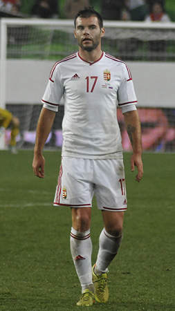 Nikolics Nemanja 2014