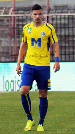 Kelić Renato 2015