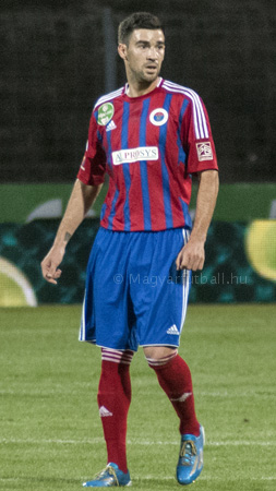 Adamović Miloš 2015