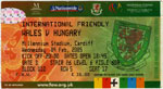 Wales - Magyarország, 2005.02.09